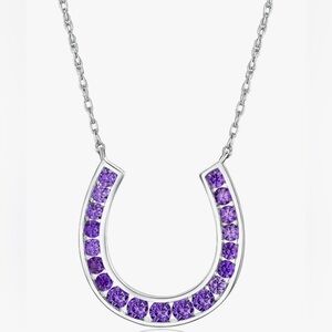 Gorgeous upscale Neiman Marcus Sterling silver Amethyst Large Horseshoe necklace